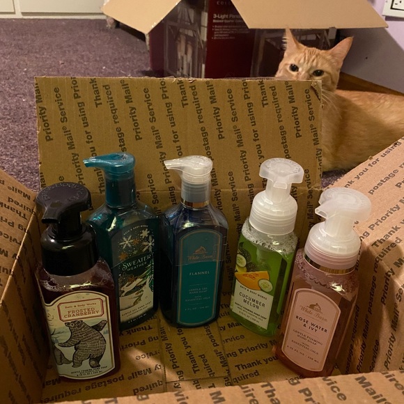 Bath & Body Works Other - Hand Soap 5 Bottles